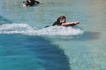The Dolphin pushing me through the water - we also swam in deeper water with the dolphin